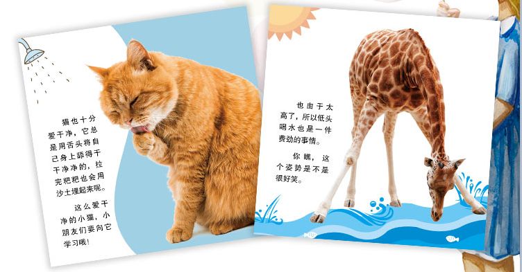 播放蚂蚁的生活百科_蚂蚁生活视频记录片_百科蚂蚁播放生活中的故事