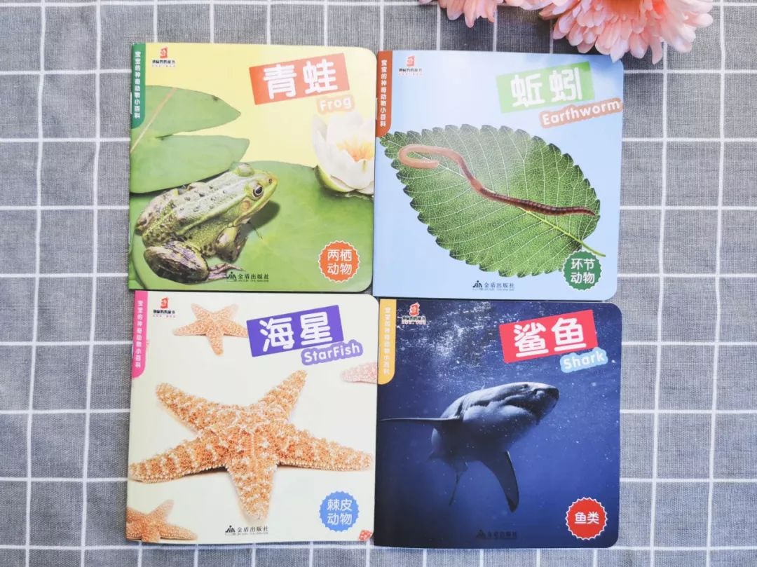 蚂蚁生活视频记录片_播放蚂蚁的生活百科_百科蚂蚁播放生活中的故事