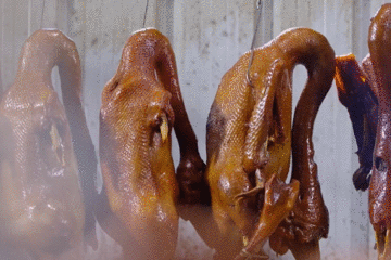 传播潮汕美食_美食潮汕传播方案_潮汕美食宣传