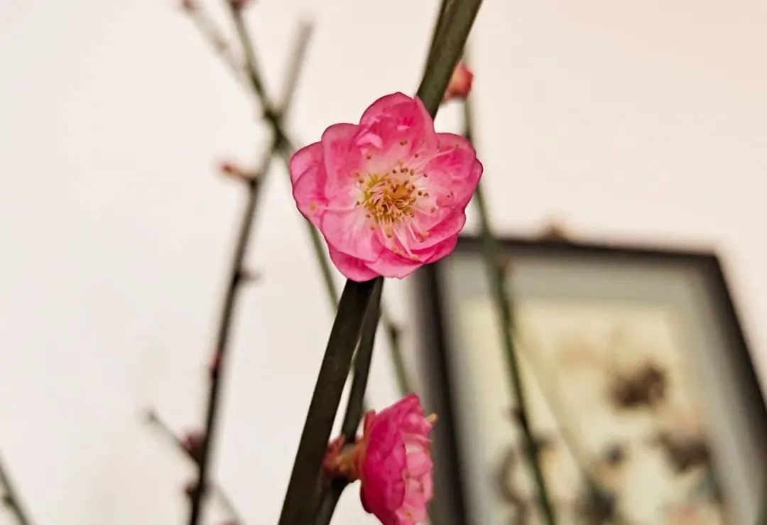 立春小知识_立春相关的知识问答_立春的生活常识