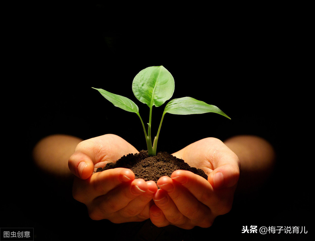 生活技能学习洗碗_洗碗学到的知识_洗碗技能介绍