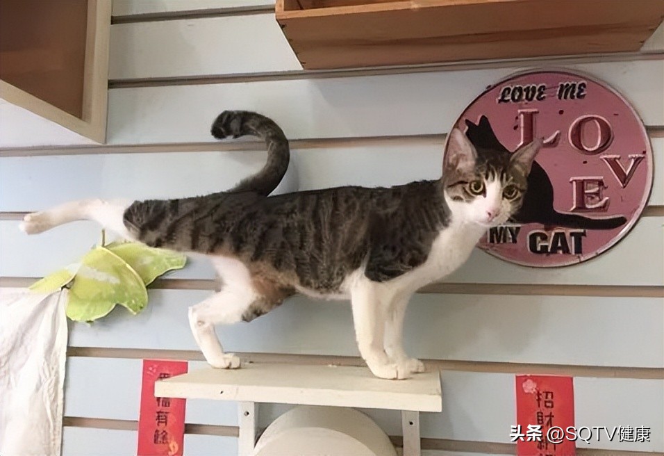 文具夹板有什么用_文具夹的生活技巧_文具夹子叫什么