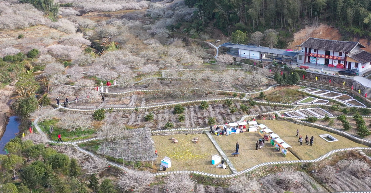 中国际美食节_2020年国际美食节_国际美食节骗局