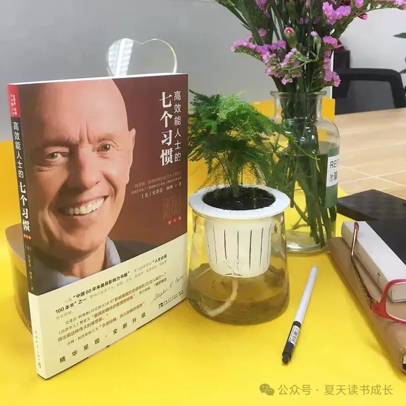 打字算技能生活中的什么_打字算生活技能吗_打字算技能生活吗