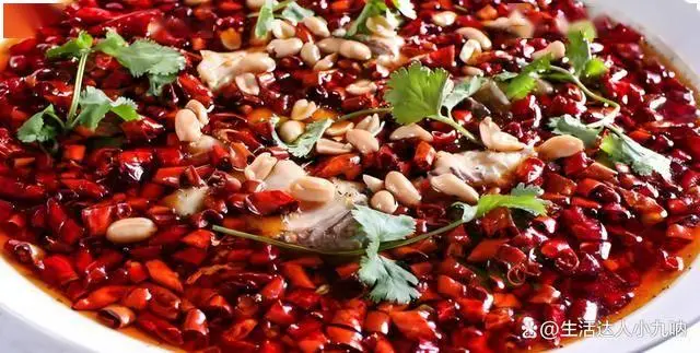 哪里的美食多_美食天下菜谱大全_美食地图