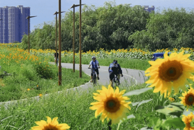 成都新农村视频_成都农村的生活方式变化_成都农村变化方式生活调查报告