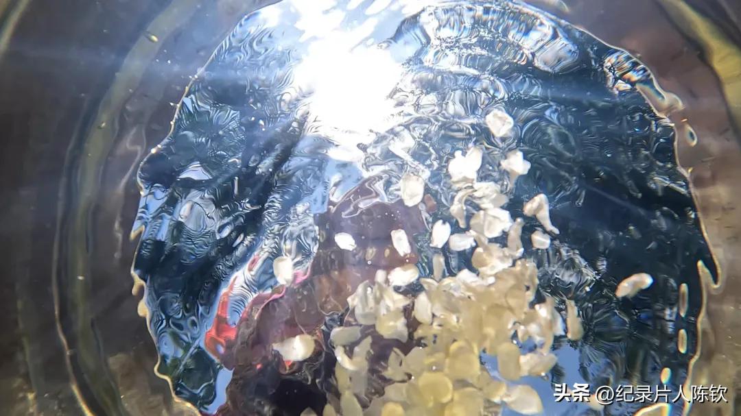 美食之旅台_新旅明樾台招聘_美食旅游频道