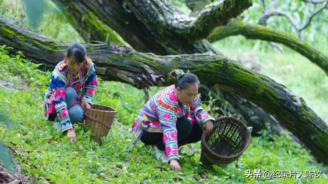 美食之旅台_新旅明樾台招聘_美食旅游频道