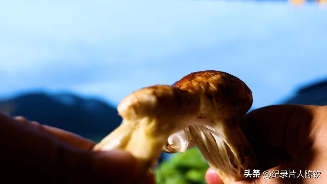 美食之旅台_美食旅游频道_新旅明樾台招聘