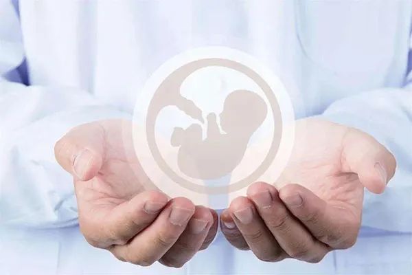 孕妇指导方式_孕期指导的正确做法是_孕后生活方式指导