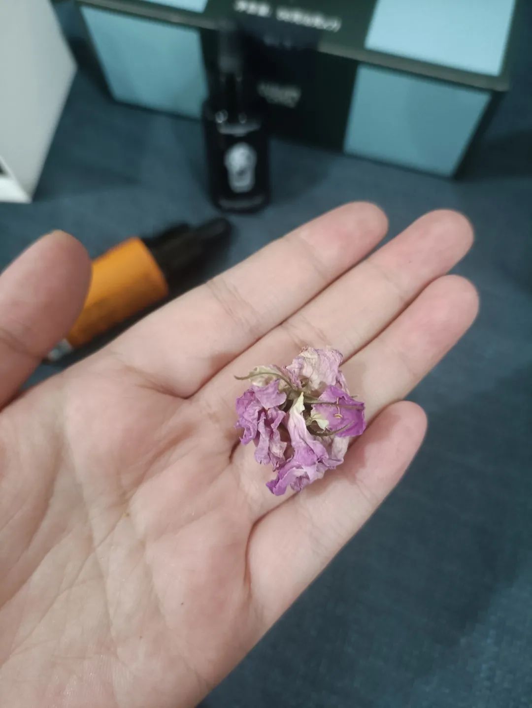 咖啡肚胀_小肚肚加咖啡_肚子胀咖啡