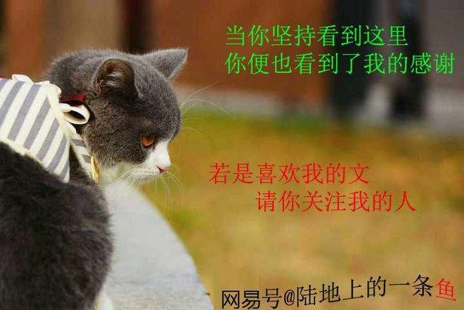 低谷的生活方式是指什么_生活的低谷期该如何度过_生活的低谷期说说