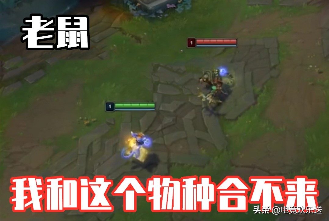 猫与电竞_猫与电竞_猫与电竞