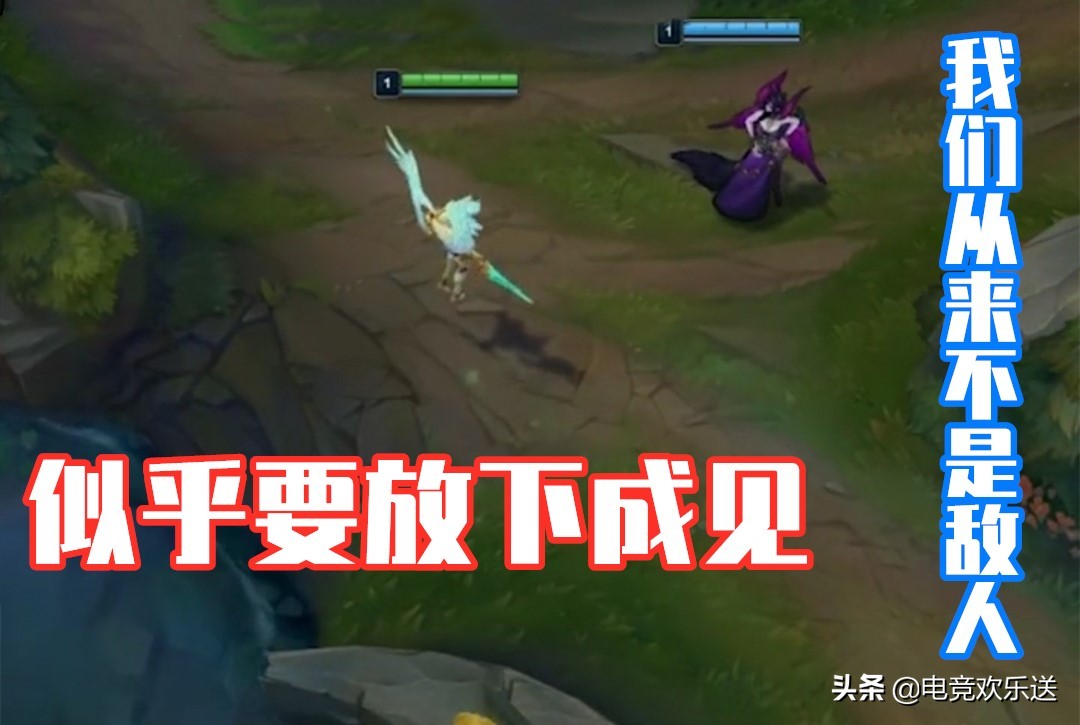 猫与电竞_猫与电竞_猫与电竞