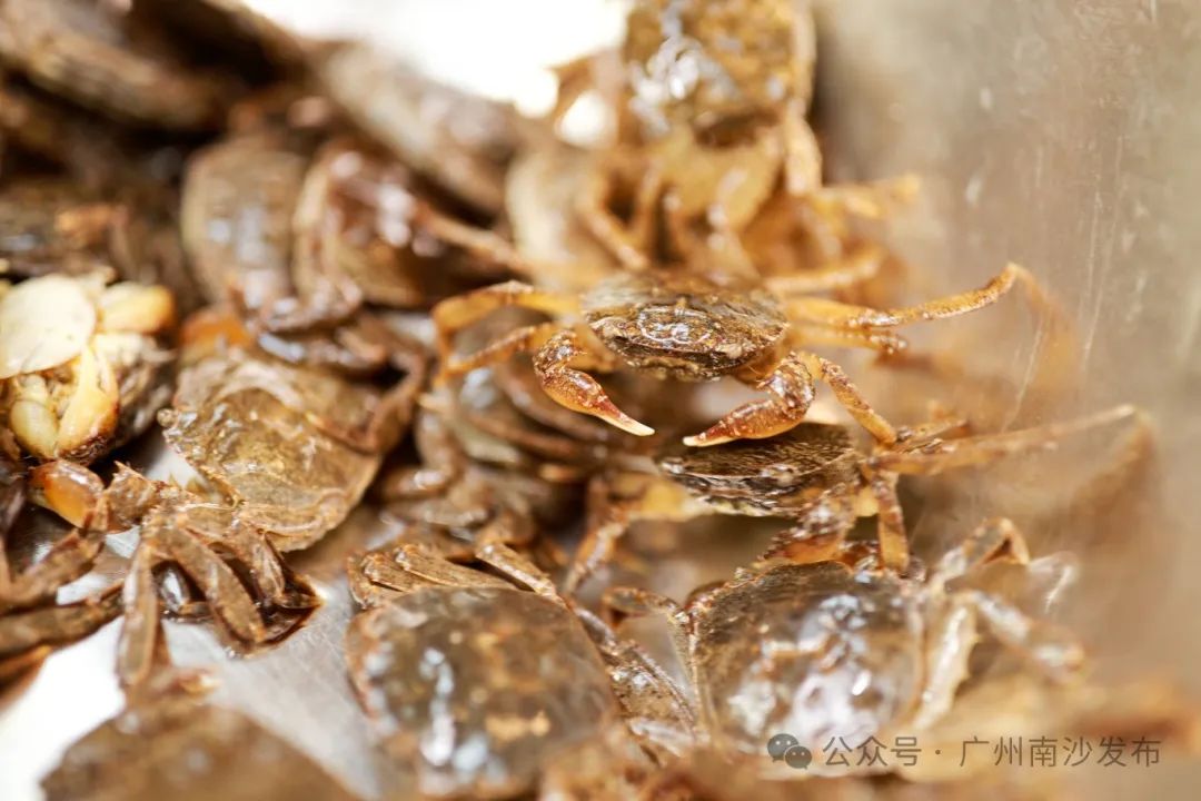 南沙美食广州餐厅推荐_广州南沙美食_广州南沙特色美食攻略