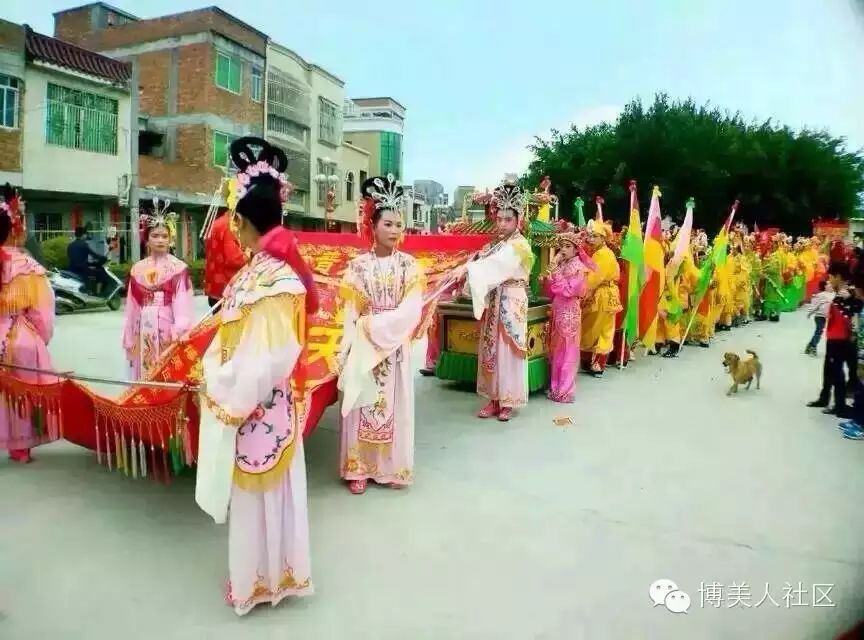 养博美攻略_家养博美犬需要注意什么_养博美的家庭日常