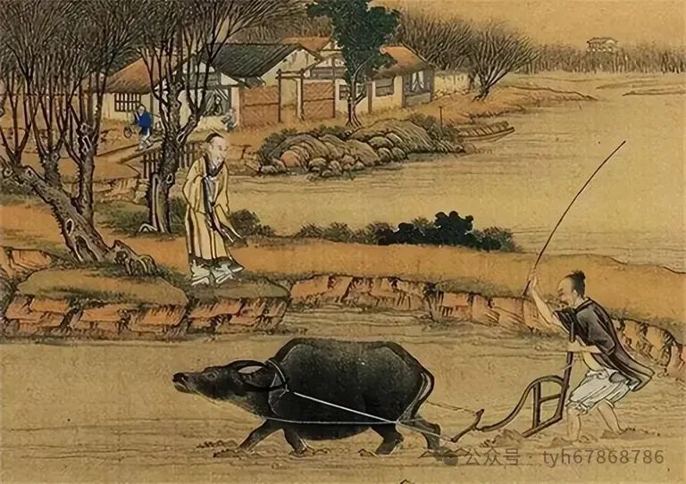 适合回民吃的家常菜_日常回民吃家庭饭菜好吗_回民家庭日常吃什么