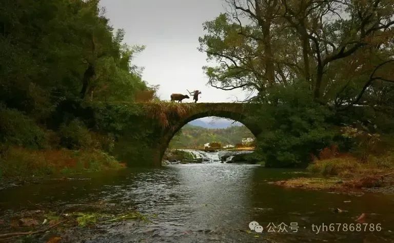 日常回民吃家庭饭菜好吗_回民家庭日常吃什么_适合回民吃的家常菜