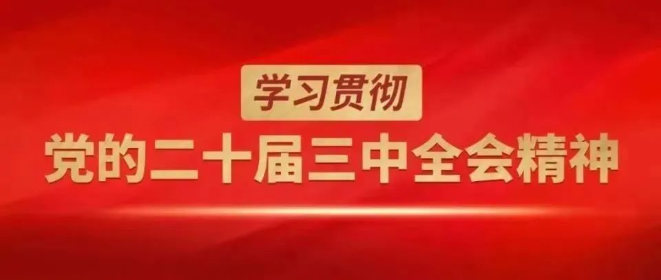 电商创业培训班直播资讯_直播电商培训学校_培训资讯直播电商班创业方案