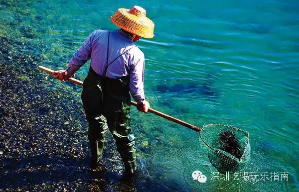 沙梨的吃法_点心美味沙梨图片_美味的点心 沙梨