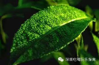 美味的点心 沙梨_点心美味沙梨图片_沙梨的吃法