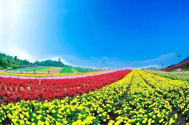 咖啡馆温馨_咖啡厅温馨提示_咖啡店的温馨广告语