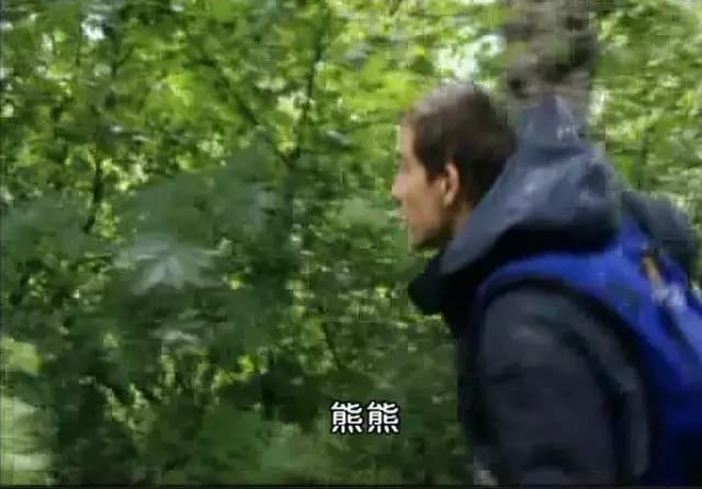 森林有什么技能_森林生活技能_森林技能生活怎么学