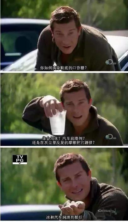 森林有什么技能_森林生活技能_森林技能生活怎么学