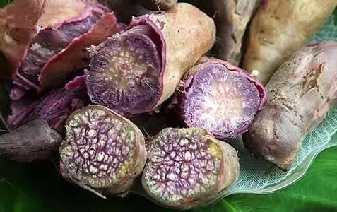 潮汕美食莲藕夹肉_潮州莲藕_潮汕莲藕的做法大全