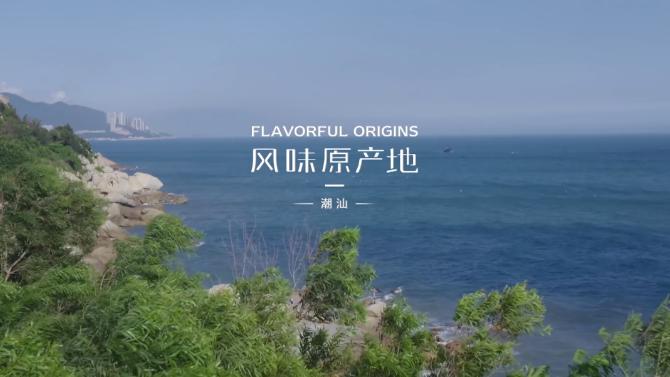 做美食潮汕婆婆_婆婆美食潮汕做什么菜_婆婆美食潮汕做法大全