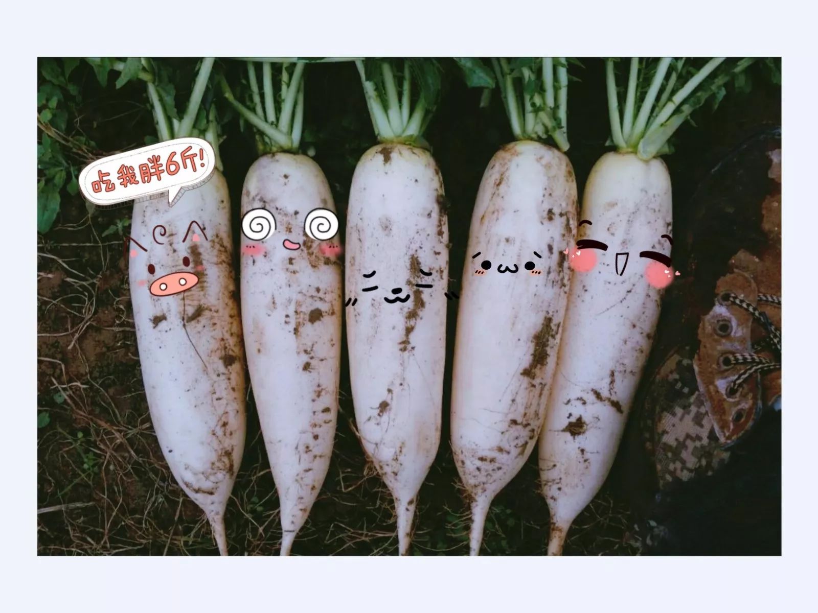 美食潮汕做阿嬷的视频_美食潮汕做阿嬷的是谁_潮汕阿嬷做美食
