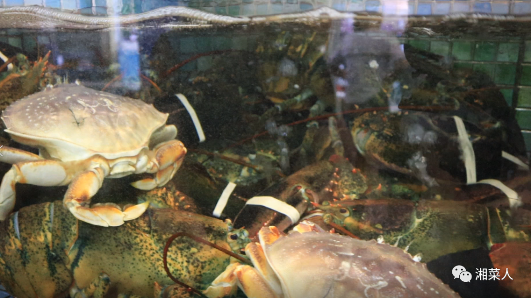 另类茶餐厅_另类餐饮店_另类饭店名字大全图片