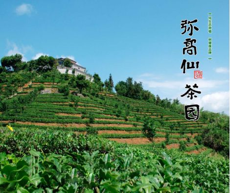 天福茶食小吃_天福茶点_天福茶餐厅