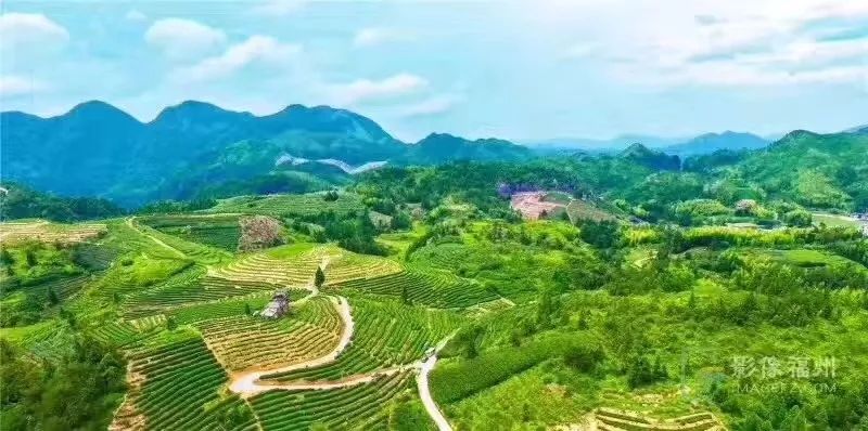 天福茶点_天福茶餐厅_天福茶食小吃