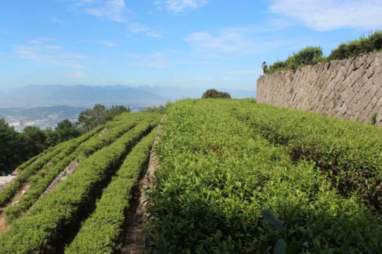 天福茶食小吃_天福茶餐厅_天福茶点