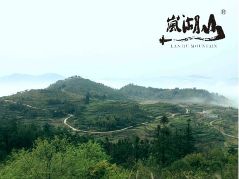 天福茶餐厅_天福茶食小吃_天福茶点