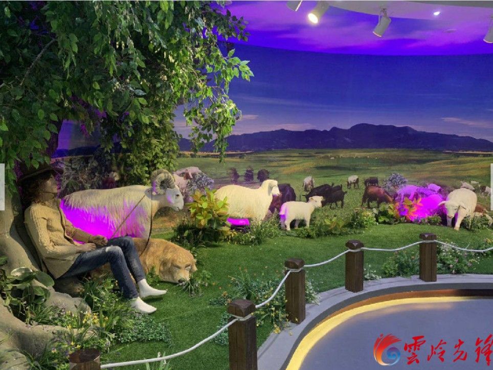 云南博物馆周边咖啡馆推荐_云南哪里有咖啡_云南咖啡厅