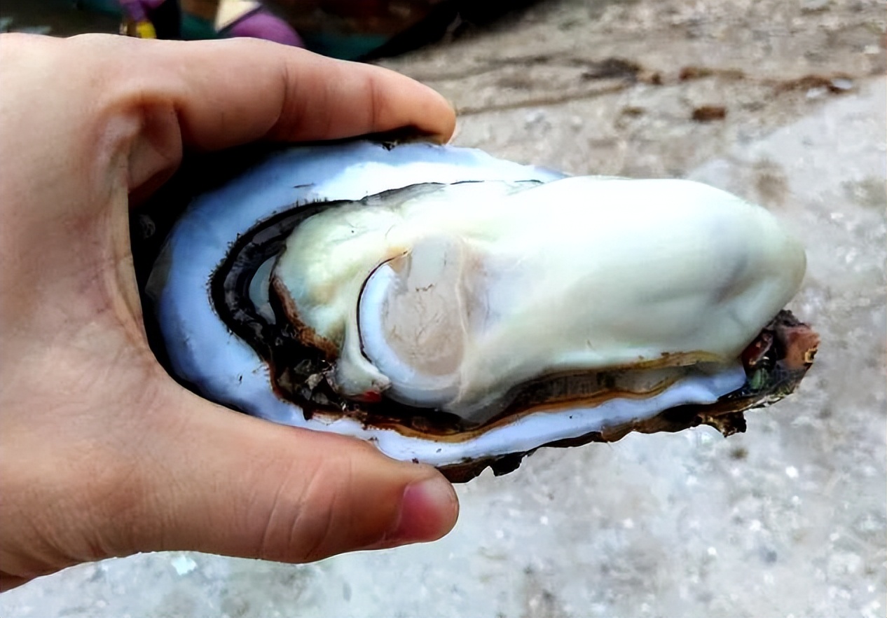 阳春市美食_阳春市美食攻略_阳春必吃美食