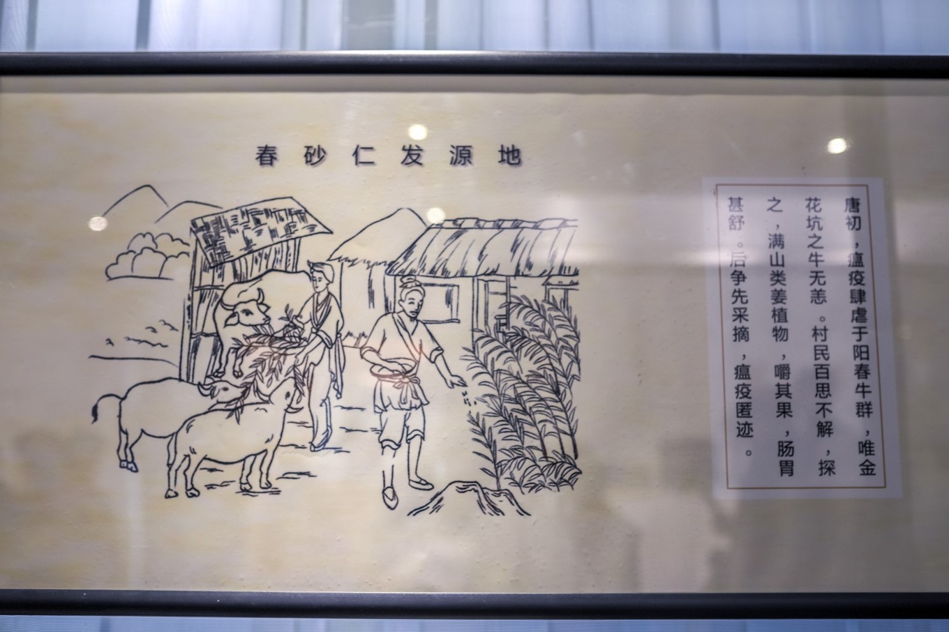 阳春好吃的小吃_阳春美食必去的老字号_阳春市美食