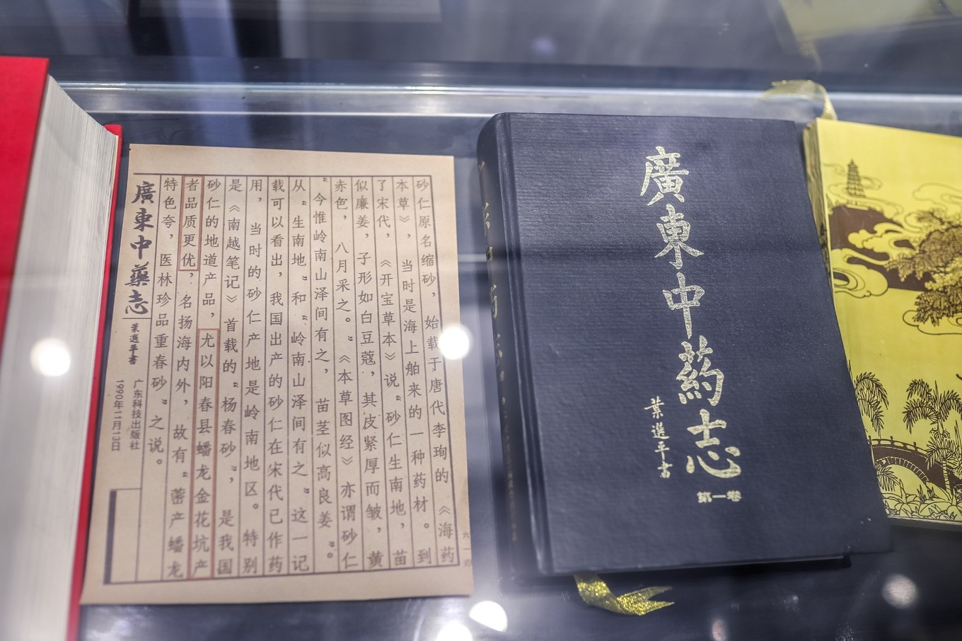 阳春市美食_阳春美食必去的老字号_阳春好吃的小吃