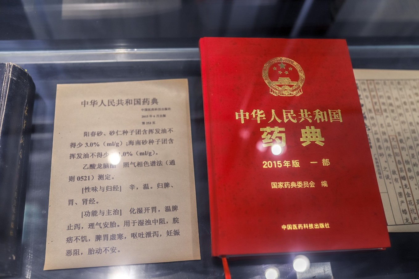 阳春美食必去的老字号_阳春市美食_阳春好吃的小吃