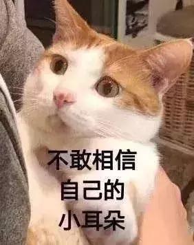 点都德茶餐厅_点都德茶餐厅菜单_点都德喝茶