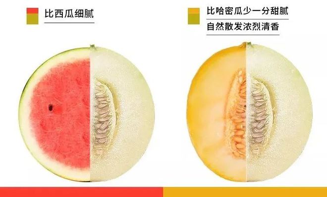 发起人不得转让股份_灵能特工派克炫彩_甜瓜做点心