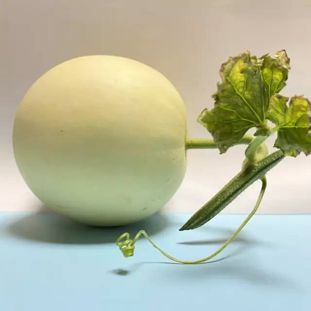 灵能特工派克炫彩_甜瓜做点心_发起人不得转让股份