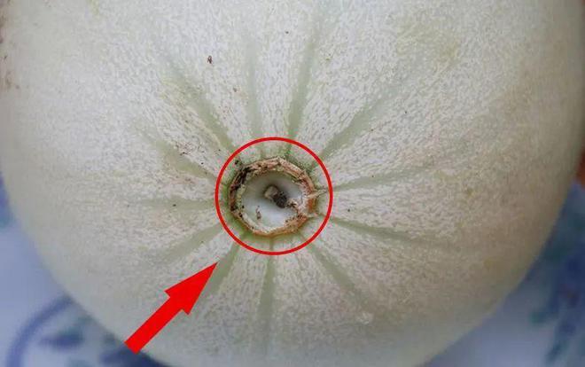 壁山区好玩的地方_重量单位和容量单位的换算_甜瓜做点心