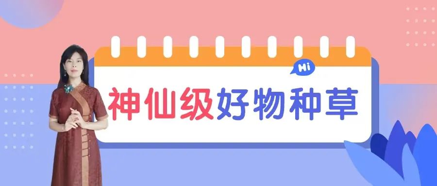 广州起源游戏_广州点心起源_广州起源教育怎么样