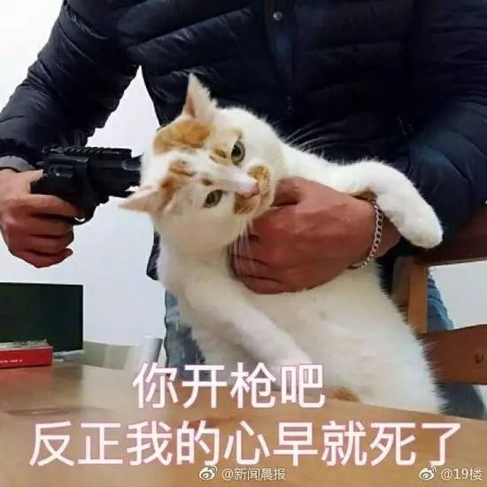 电竞大叔你别跑小说_叔叔的电竞椅_电竞王叔叔