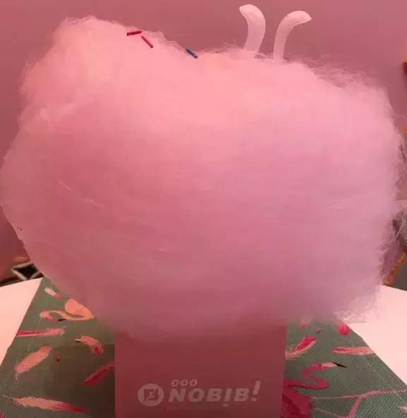 南昌猫咖一般怎么收费_南昌猫咪咖啡厅_南昌厅猫咪咖啡店地址