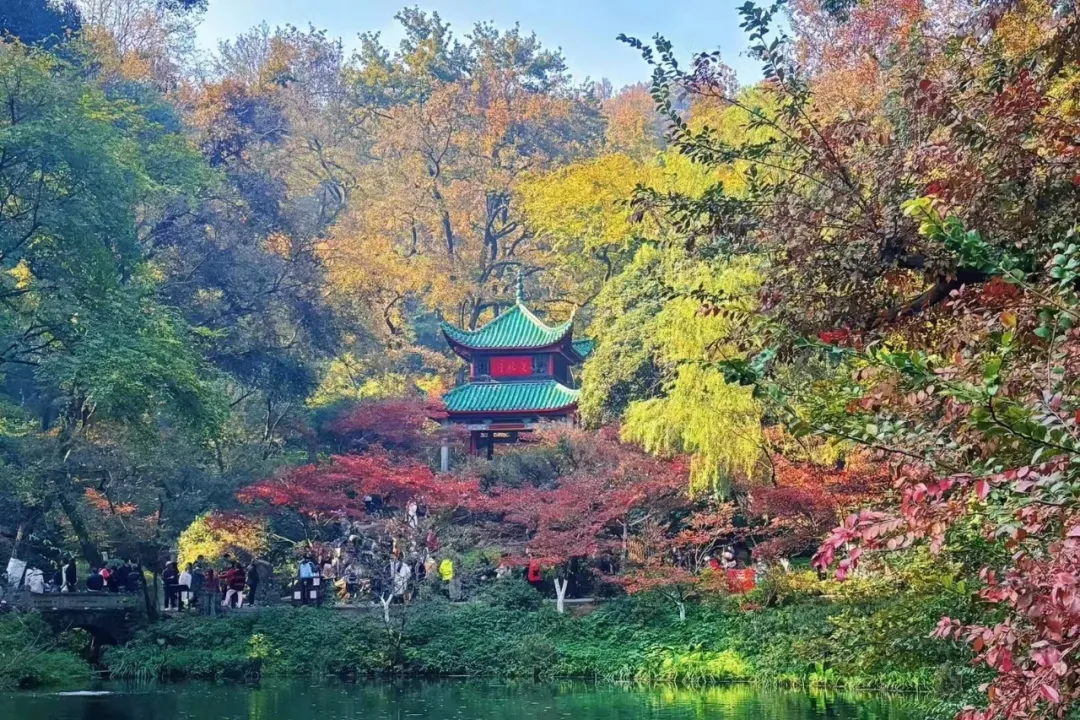 长沙美食街图片_长沙美食街图片真实_长沙美食街图片夏天景色
