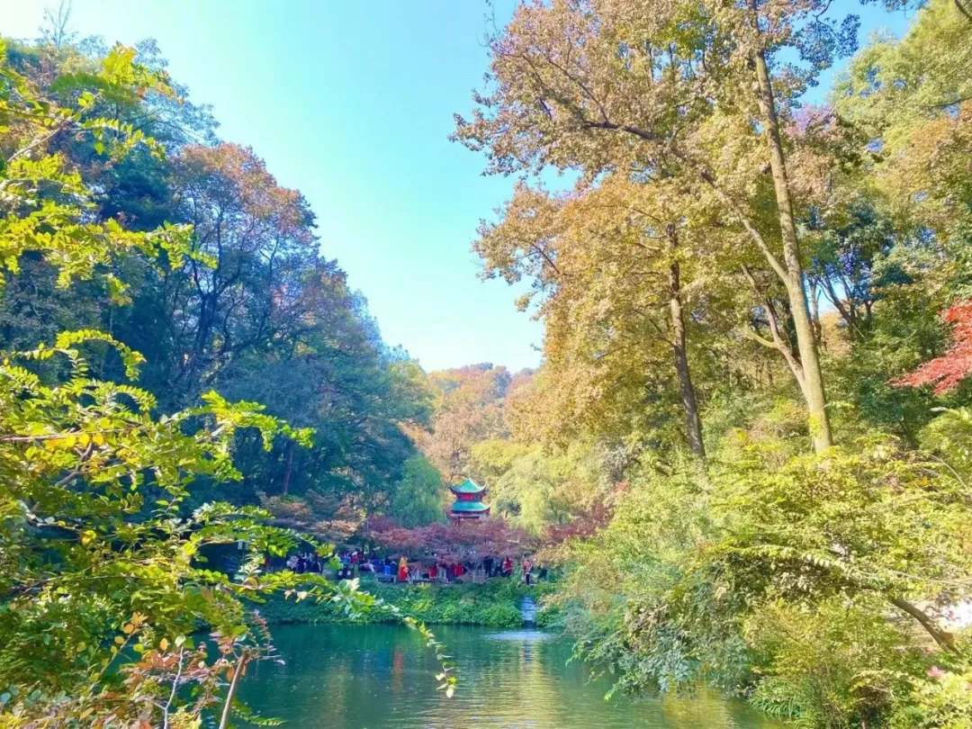 长沙美食街图片_长沙美食街图片真实_长沙美食街图片夏天景色